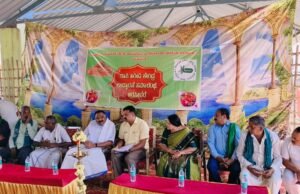 ರಾಗಿ ಖರೀದಿ ಕೇಂದ್ರ ಉದ್ಘಾಟನೆ ಮಾಡಿದ ಶಾಸಕ ಕೆಎಂ ಶಿವಲಿಂಗೇಗೌಡ